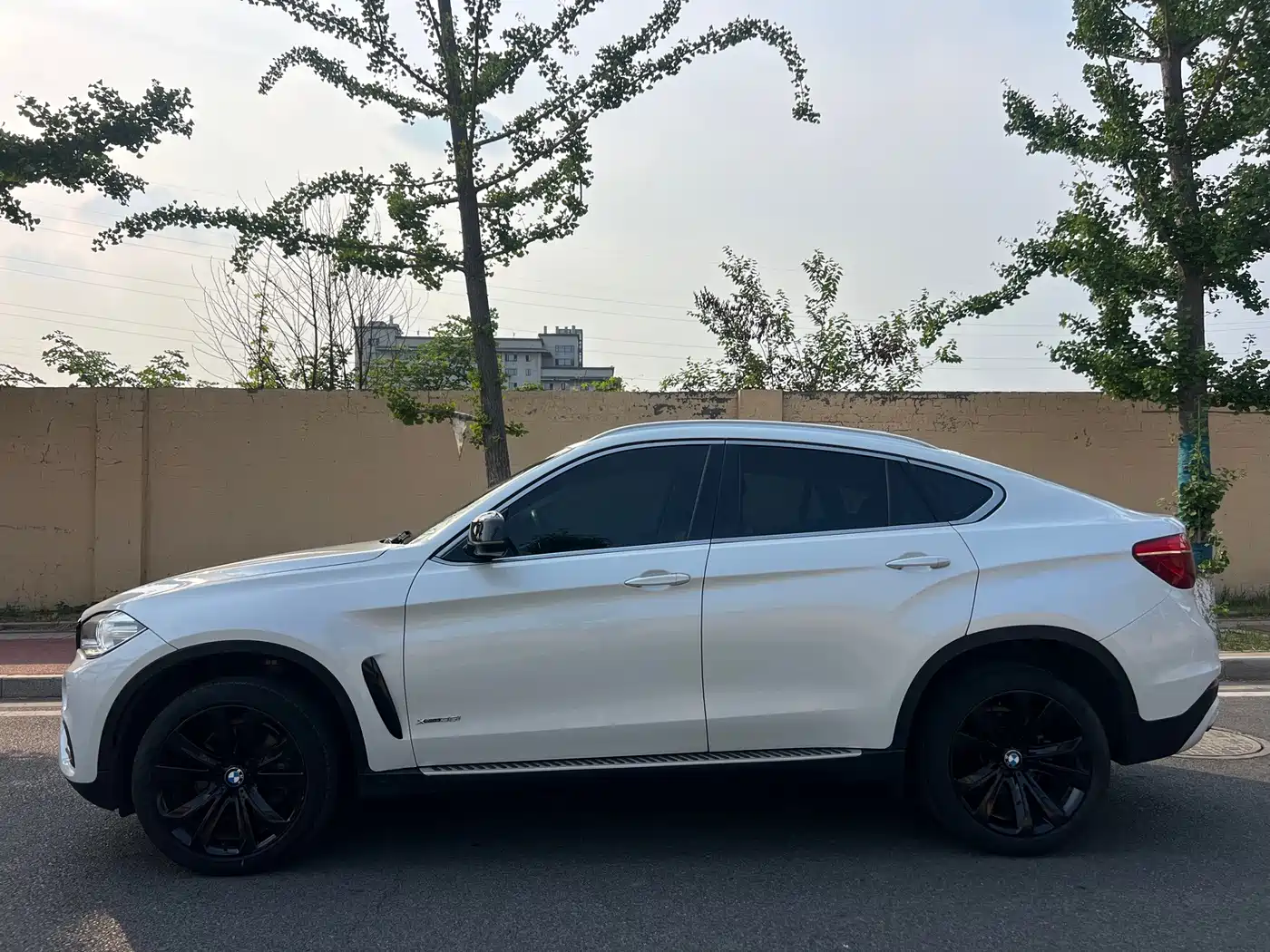 Фото 7 - BMW X6
