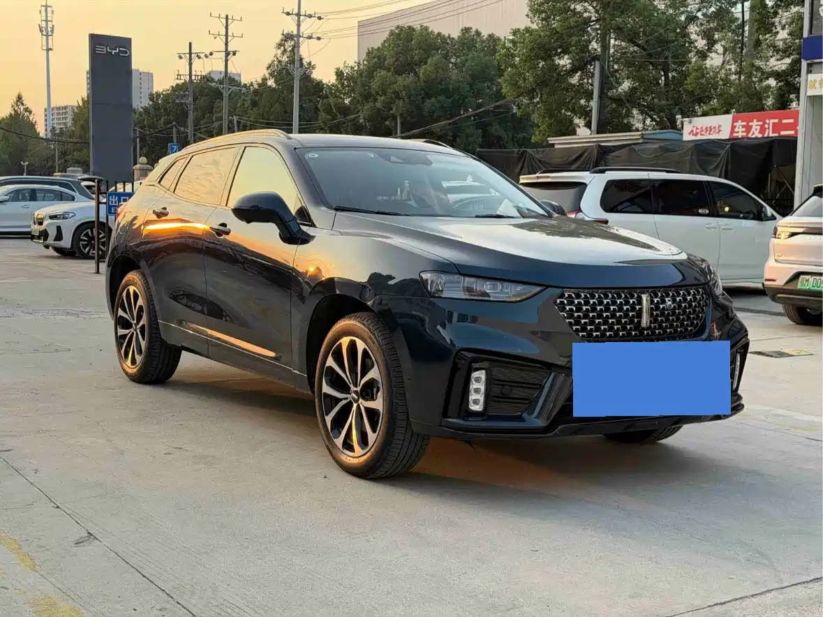 WEY VV7 2021 2021 Model 2.0T Technology Edition