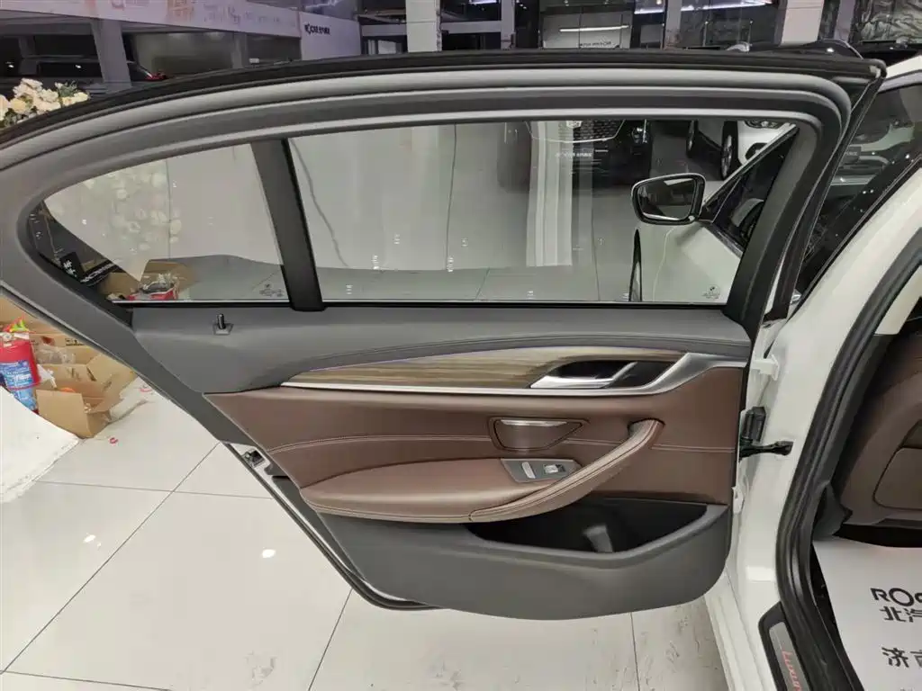 BMW 5 Series 2019 530Li Leading Luxury Package фото 28