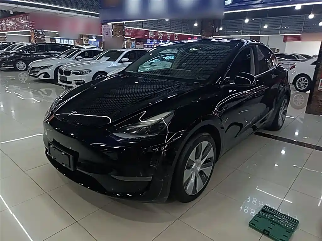 Tesla Model Y 2021 Standard Range Rear-Wheel Drive