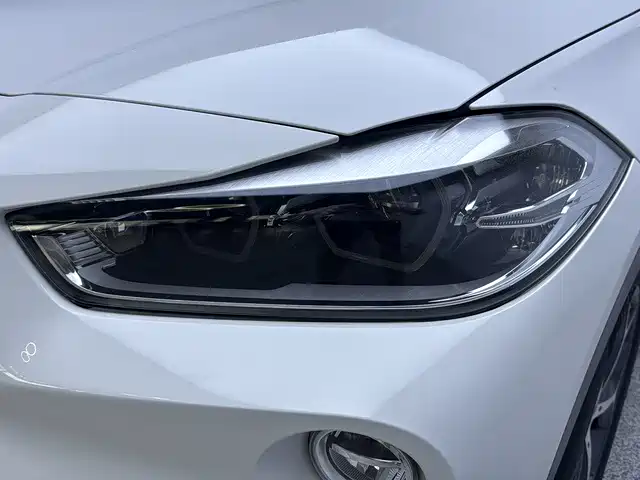 BMW X2 (Import) 2019 2019 sDrive20i M Off-Road Package China VI