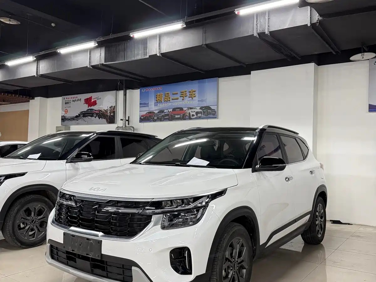 Kia Seltos 2024 2023 1.5L CVT Luxury Edition