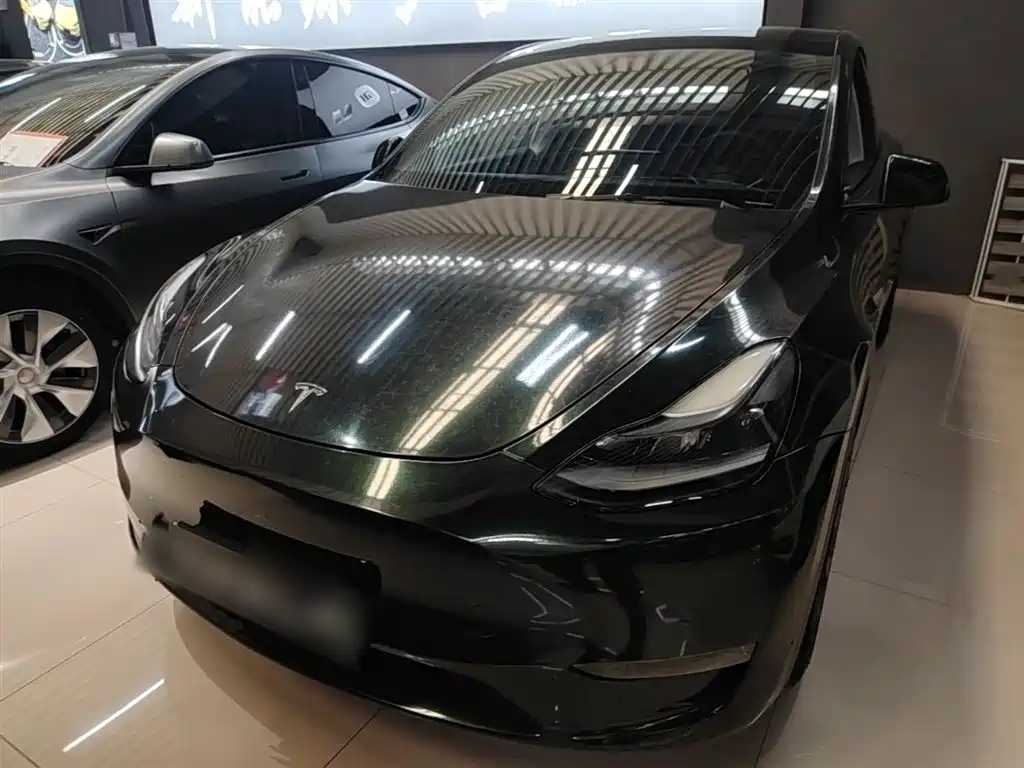 Tesla Model Y 2021 Standard Range Rear-Wheel Drive