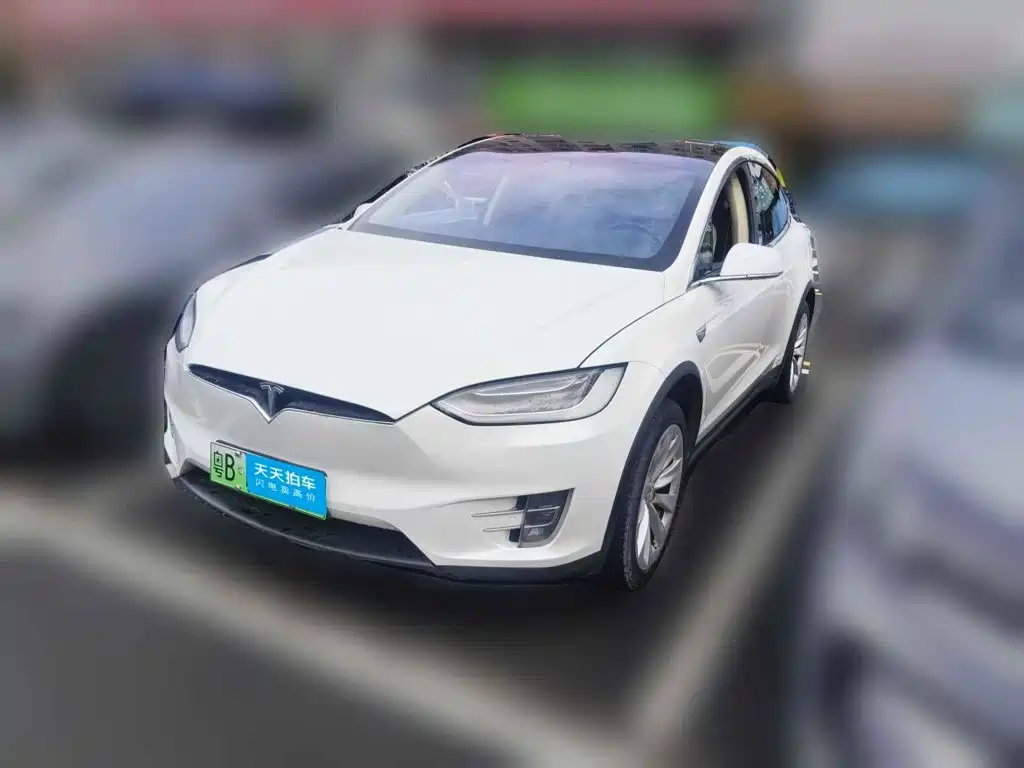 Фото 1 - Tesla Model X