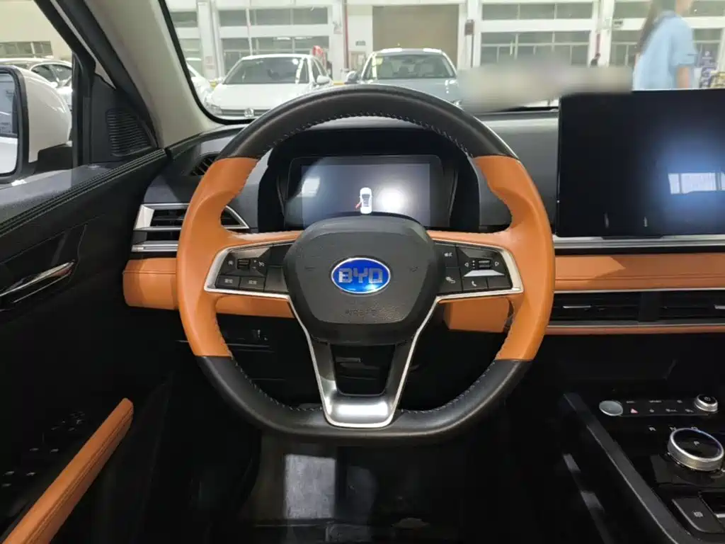 BYD e2 2021 2021 Luxury Edition