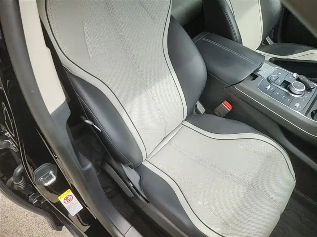 BYD Destroyer 05 2024 Glory Edition DM-i 55KM Luxury фото 25