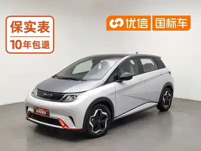 BYD Dolphin