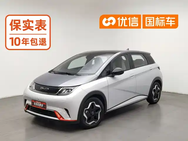 BYD Dolphin 2021 Model 405km Fashion Edition — фото 1