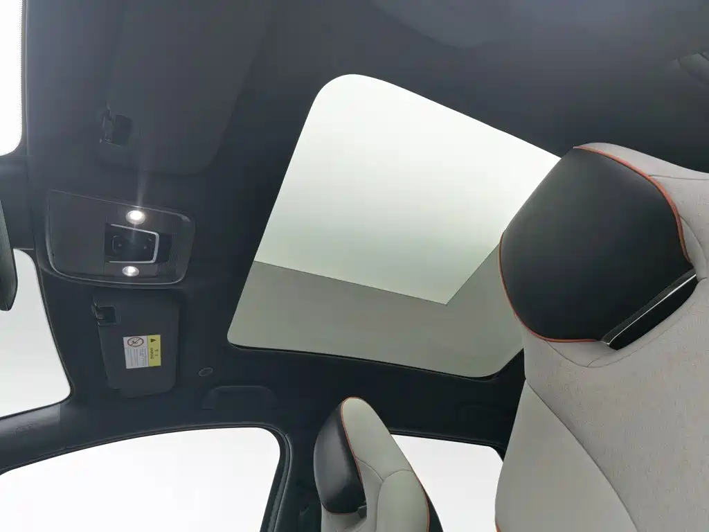 BYD Dolphin 2022 2021 Model 405km Fashion Edition
