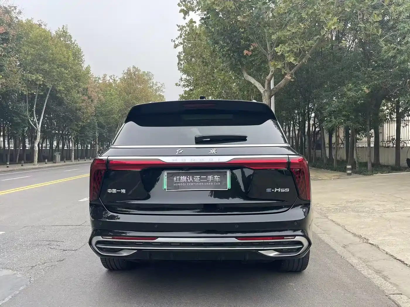 Hongqi HONGQI E HS9