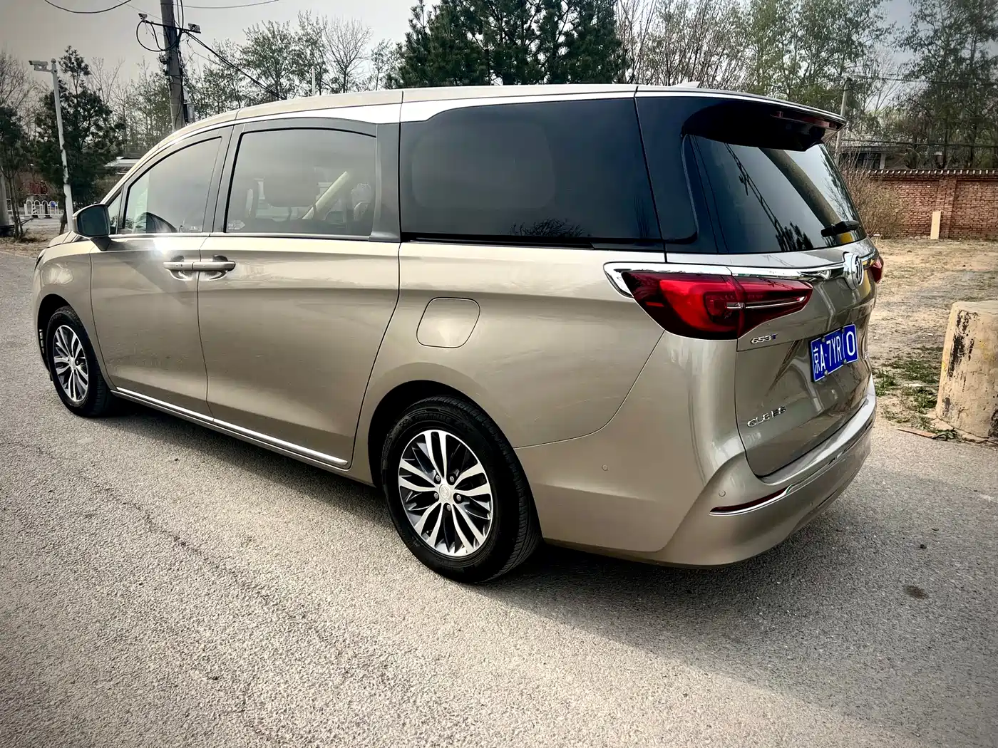 Buick GL8 2023 ES Landmaster Exclusive фото 7