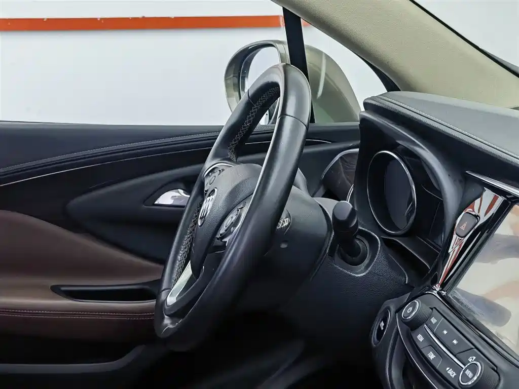Buick Envision Plus 2016 28T 4WD Elite фото 22