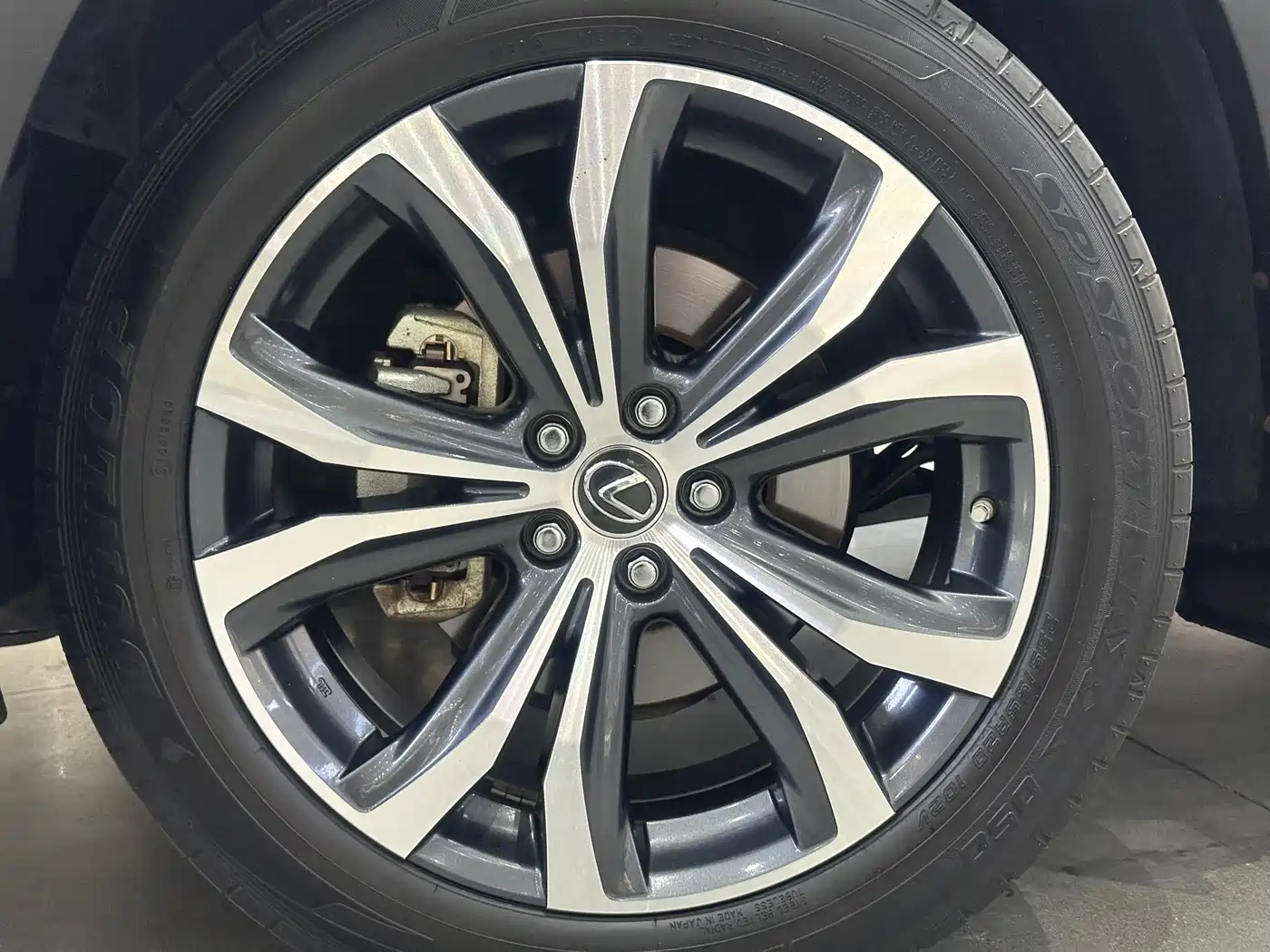 Lexus RX 2020 300 4WD Elegance Edition China VI фото 10