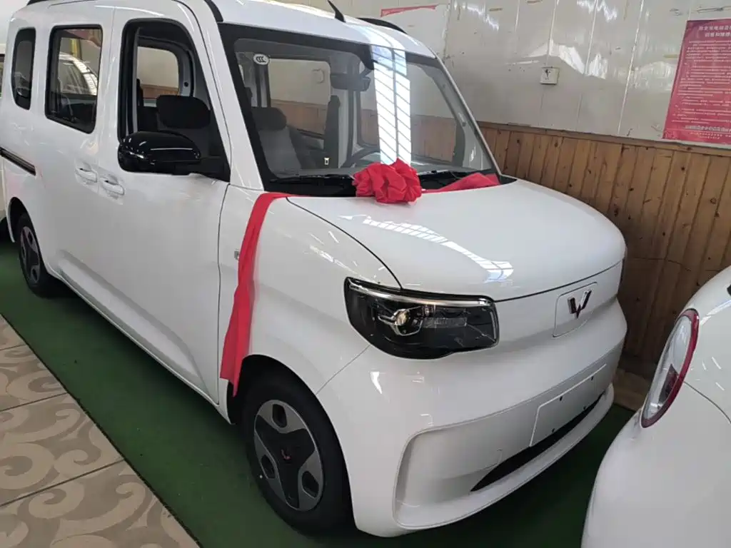 Wuling Motors Wuling Zhiguang NEV 2026 2025 Model 305km Base Version