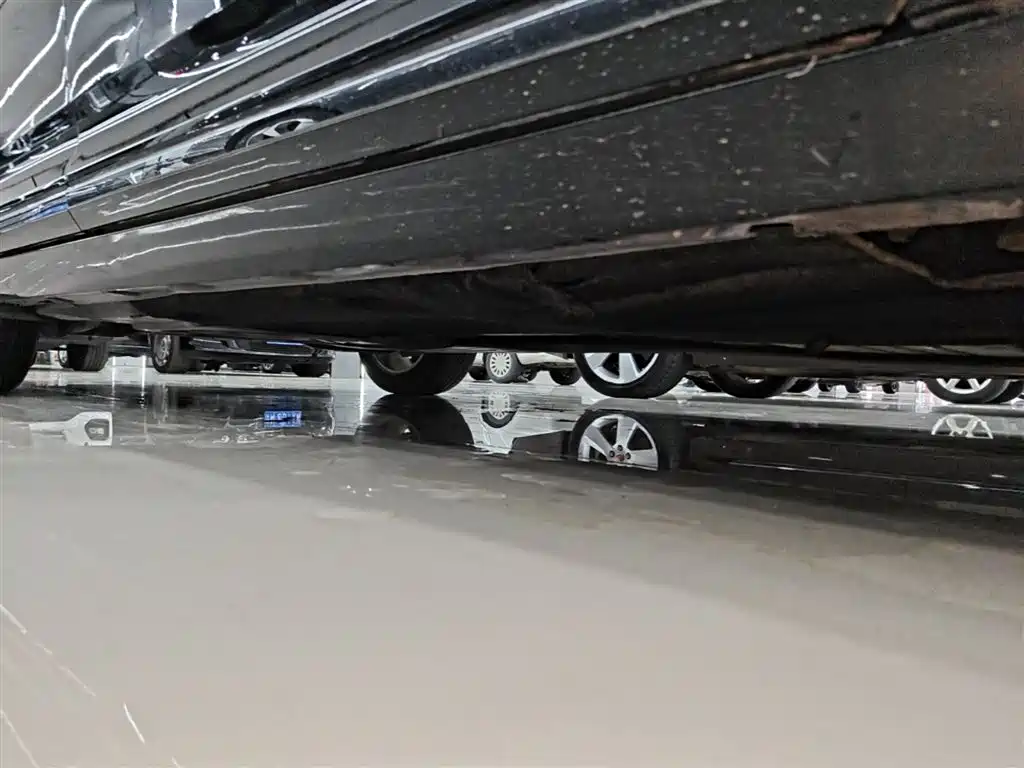 Volkswagen Magotan 2019 330TSI DSG Leading China VI фото 21