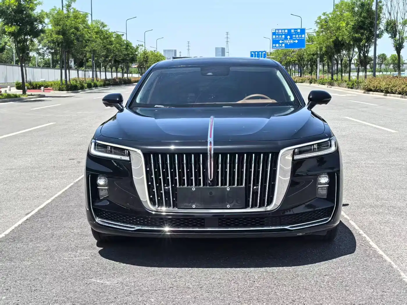 Hongqi H9 2020 2.0T Smart Connection Qi Chang Edition