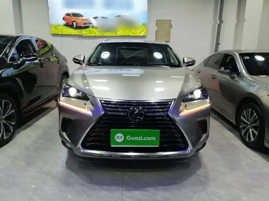 Lexus NX 2020 200 AWD F Sport China VI фото 3