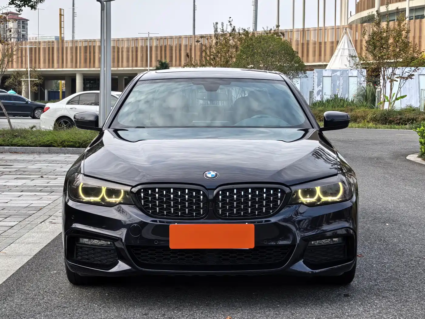 BMW 5 Series 2019 530Li Leading M Sport Package фото 2