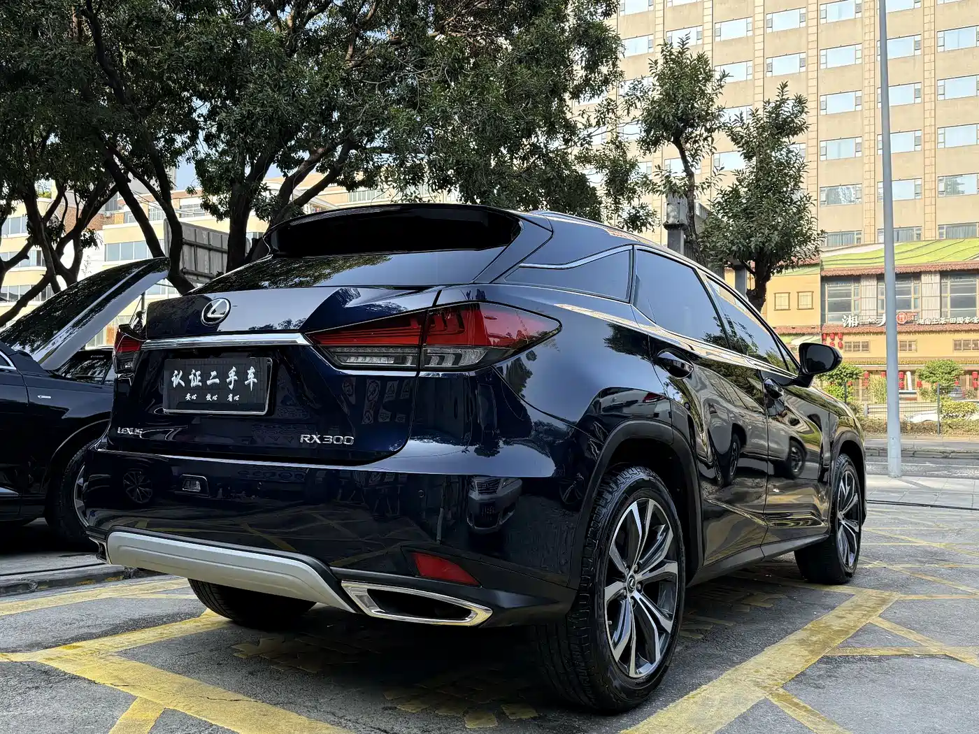 LEXUS RX