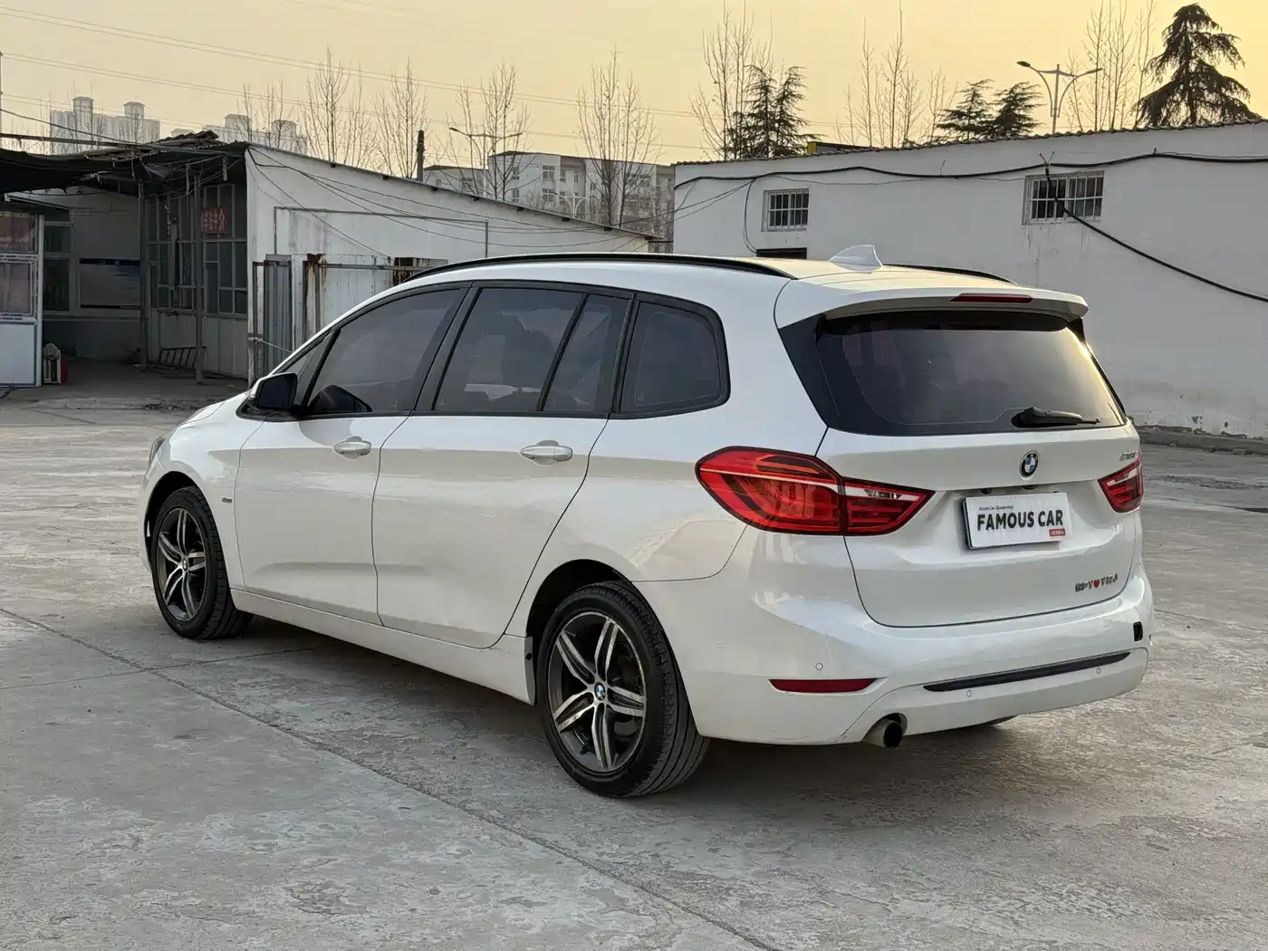 BMW 2 Series Gran Tourer 2015 218i Leading фото 4