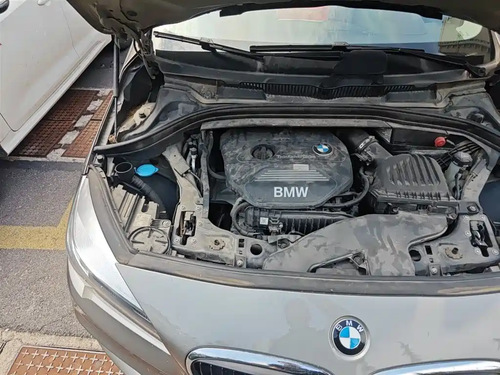 BMW 2 Series Tourer (Import) 2015 218i Leading Type фото 21