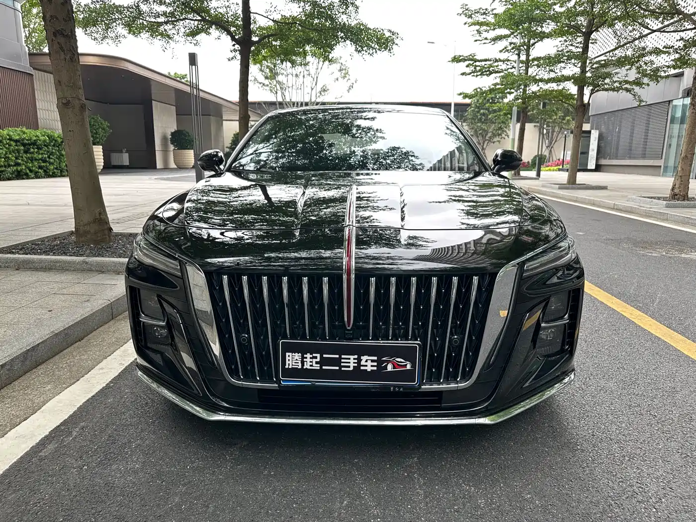 Hongqi H5 2023 1.5T DCT Smart Connect Flag Rhythm фото 2