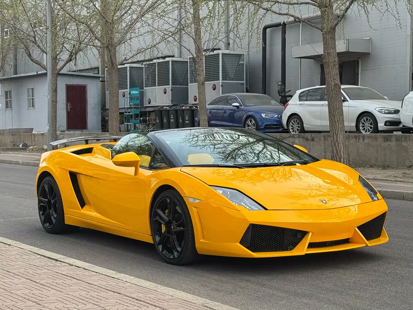 Lamborghini Gallardo 2009 Lamborghini LP 560-4 Spyder фото 5