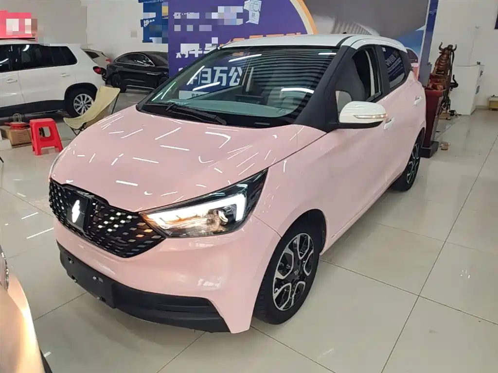 JMCG New Energy Yizhi EV3 2023 Youth Edition 251KM Standard