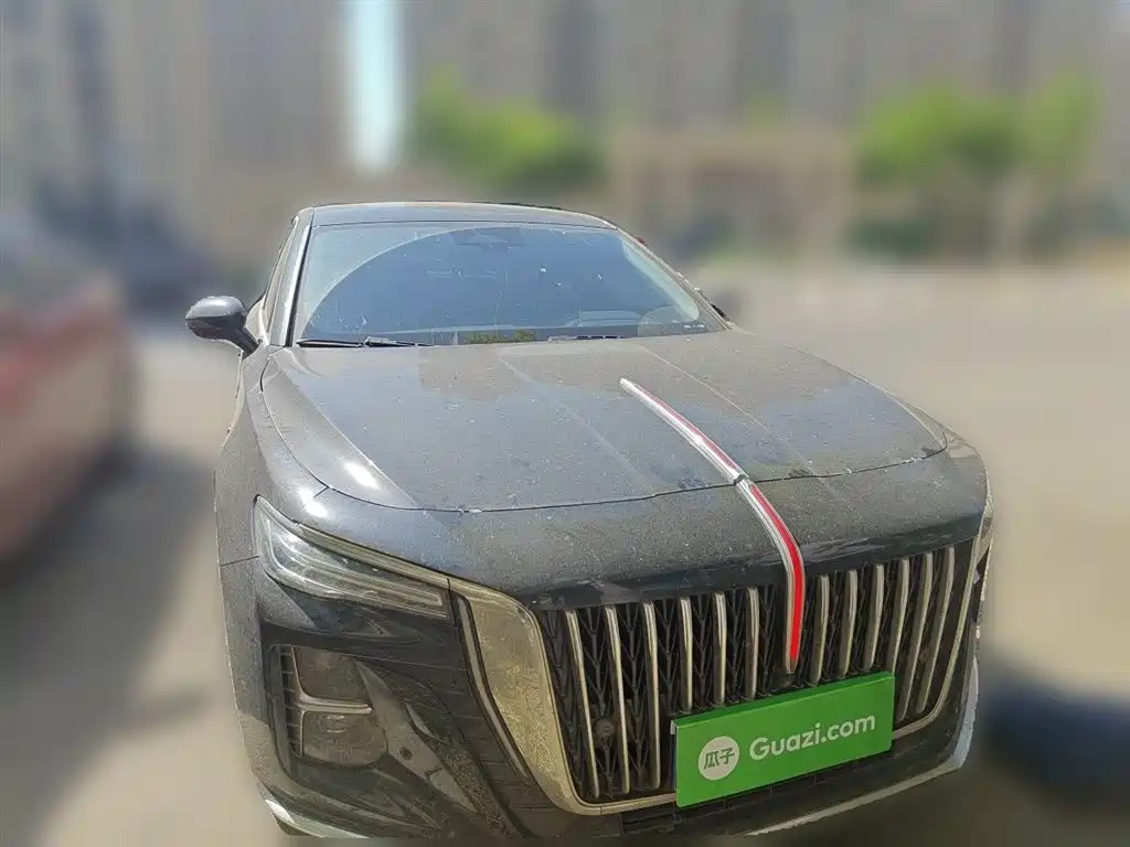Hongqi H5 2023 2.0T Auto Smart Connect Flag Comfort фото 24