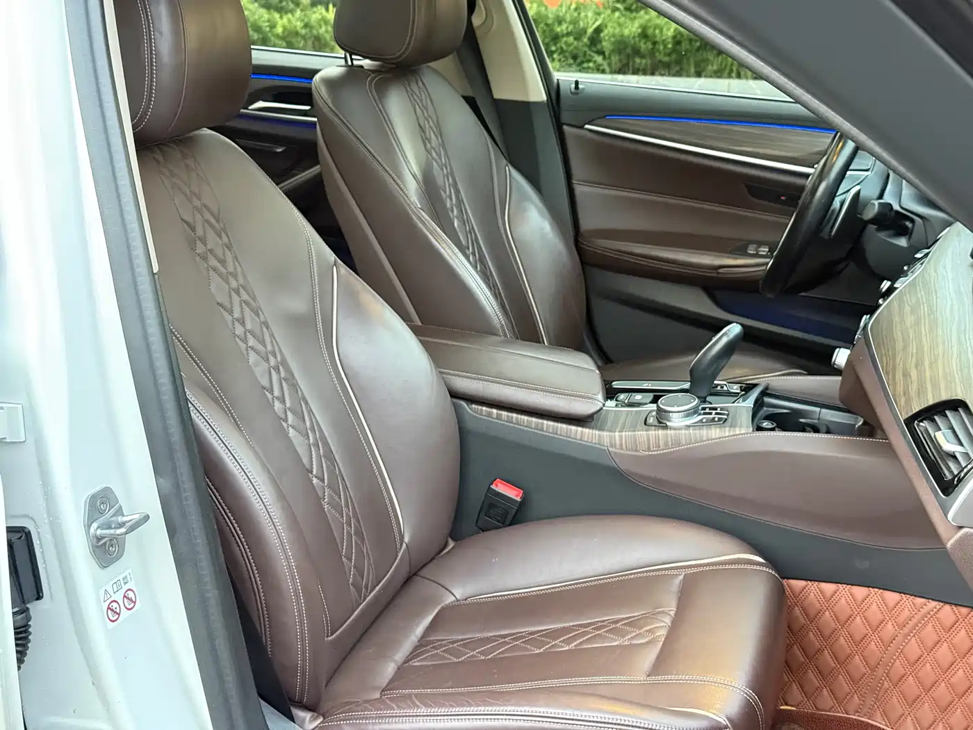 BMW 5 Series 2019 530Li Leading Luxury Package фото 12