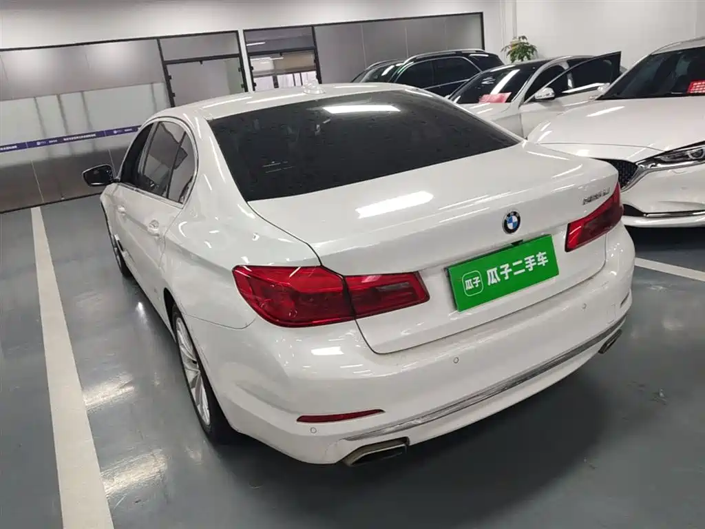 BMW 5 Series 2019 525Li Luxury Package фото 5