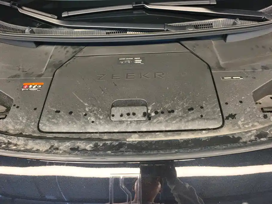 ZEEKR EXTREME KRYPTON 009