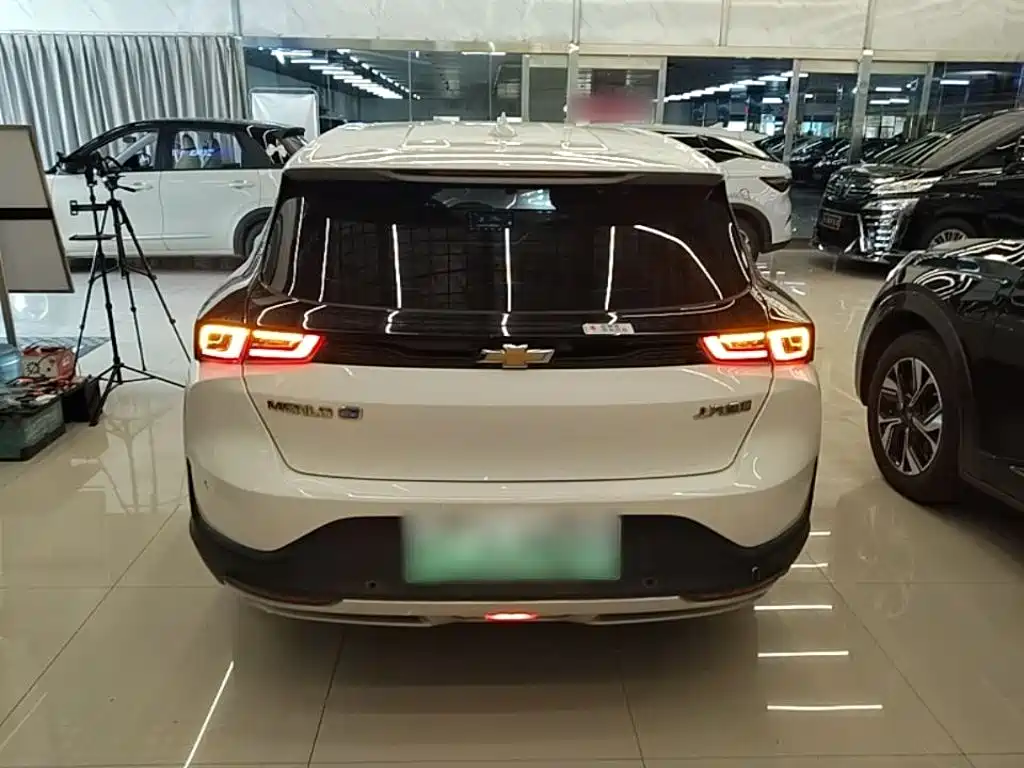 Фото 6 - Chevrolet Menlo