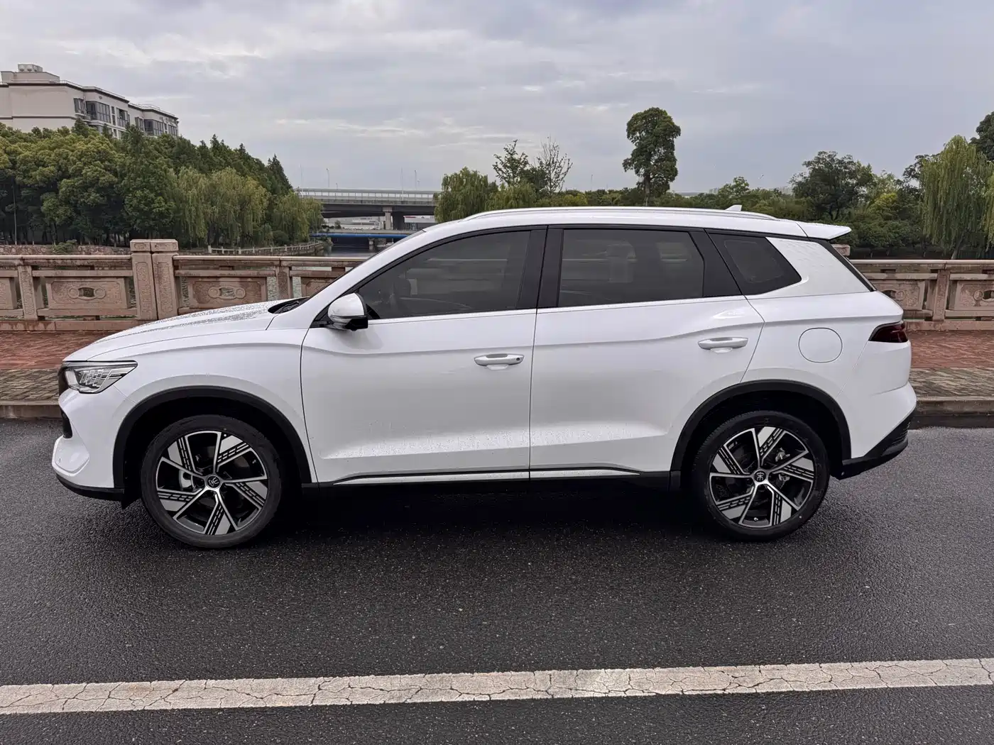 BYD Song Pro New Energy 2024 Glory Edition DM-i 110KM Surpassing фото 3