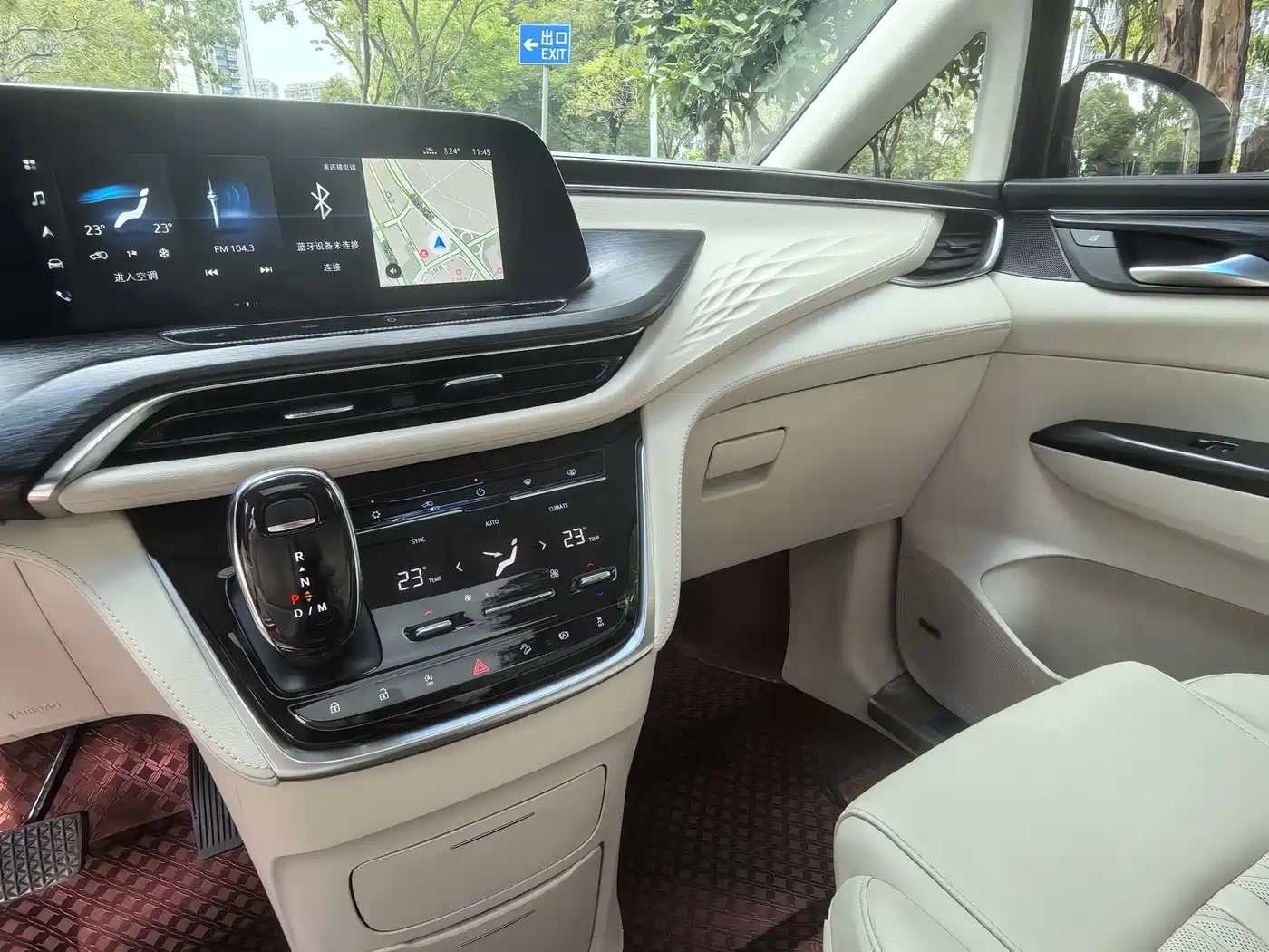 Buick GL8 2020 Avenir Six-Seat Elegance Edition фото 11