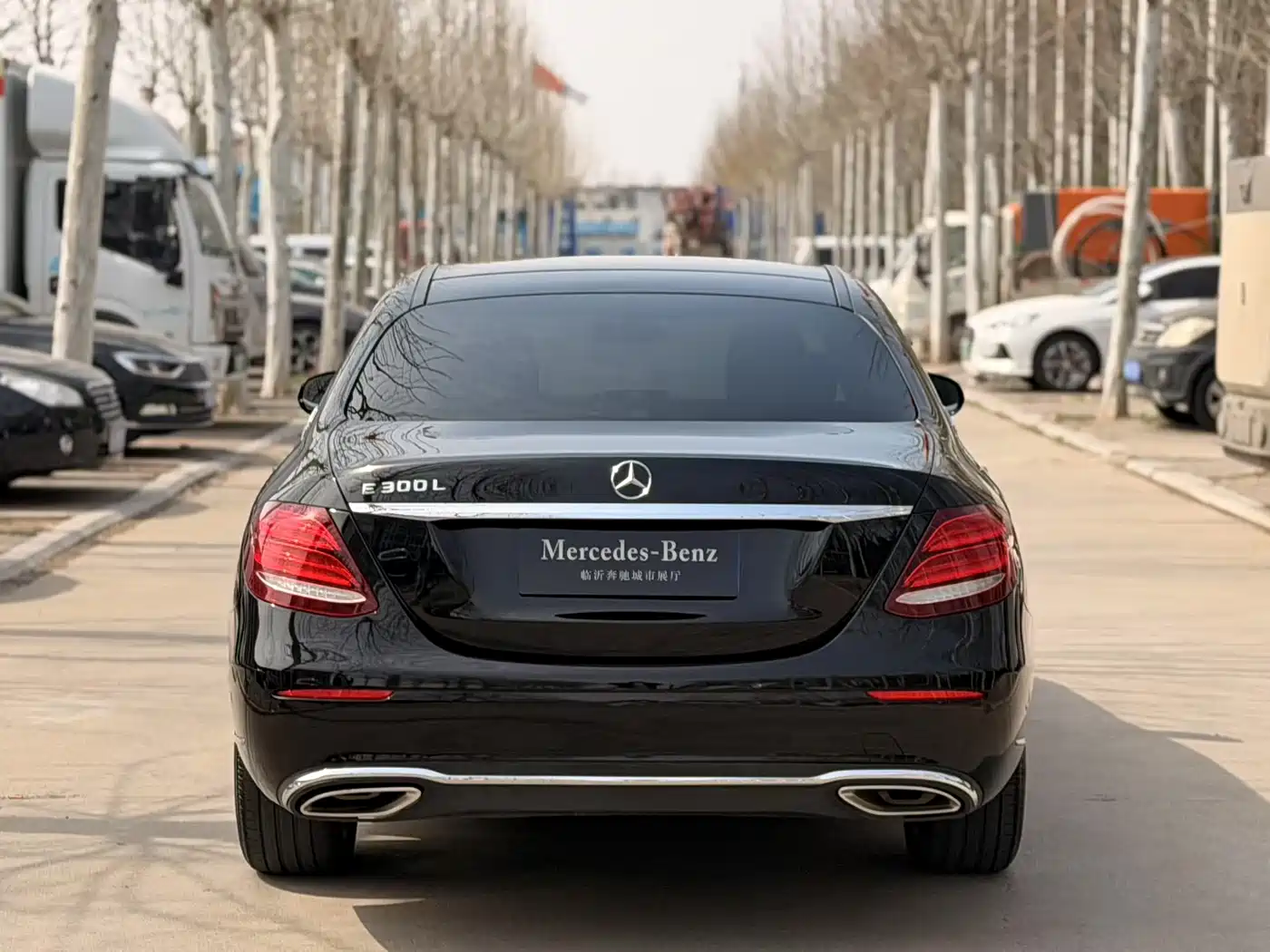 Mercedes-Benz E-Class 2019 E 200 L фото 5