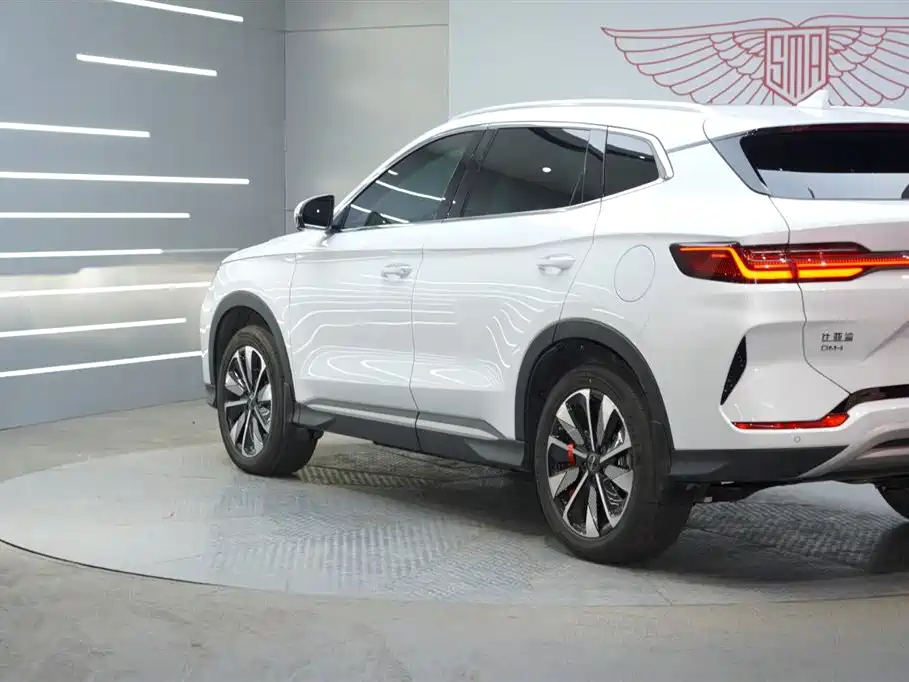 BYD SONGJIANG NEW ENERGY