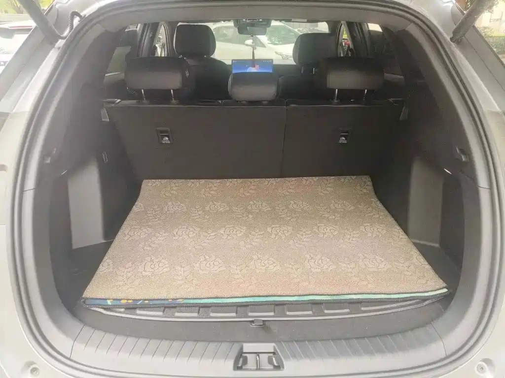 2026 BYD Sealion 06 New Energy