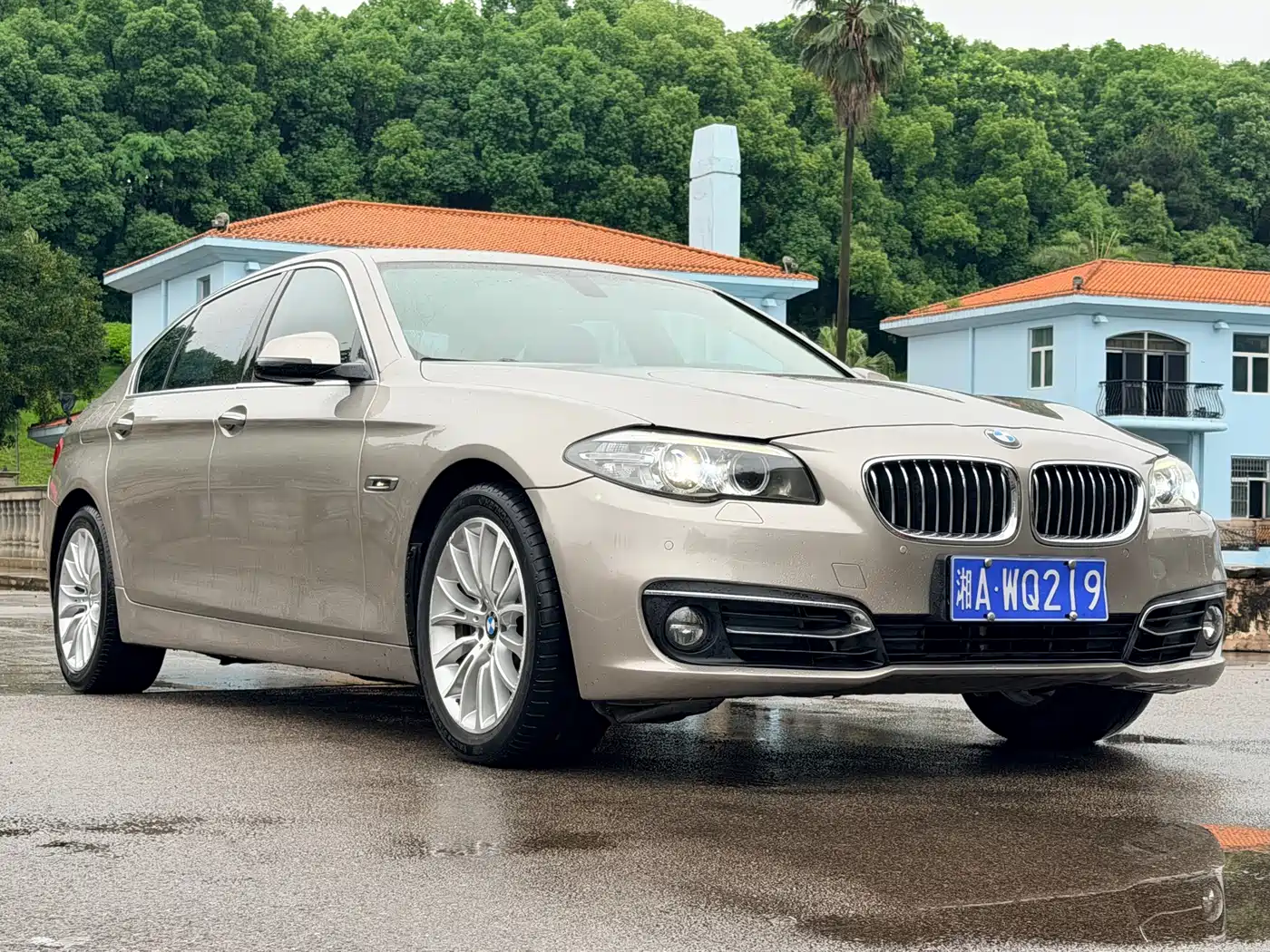 BMW 5 Series 2014 525Li Luxury Design Package фото 7