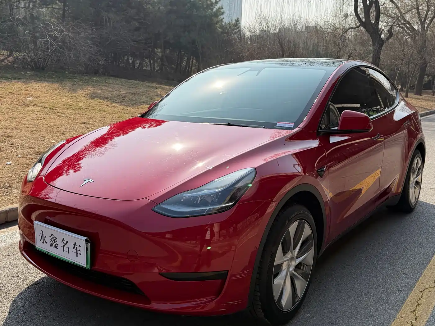 TESLA MODEL Y