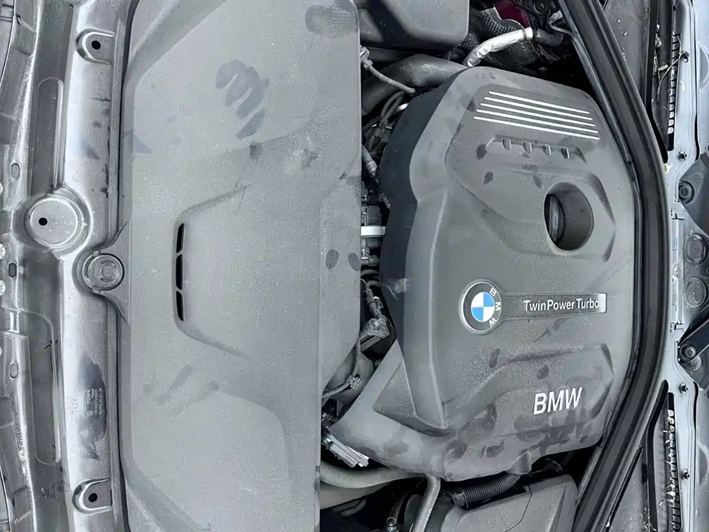 BMW 3 Series 2019 320Li M Sport Black Night Edition фото 17