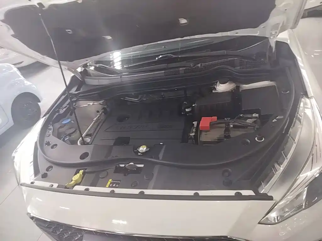 Фото 20 - Haval M6