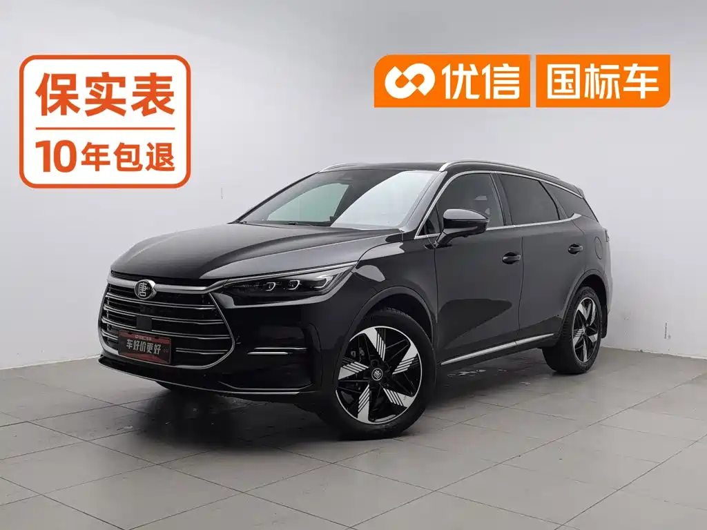 Фото 1 - BYD Tang New Energy