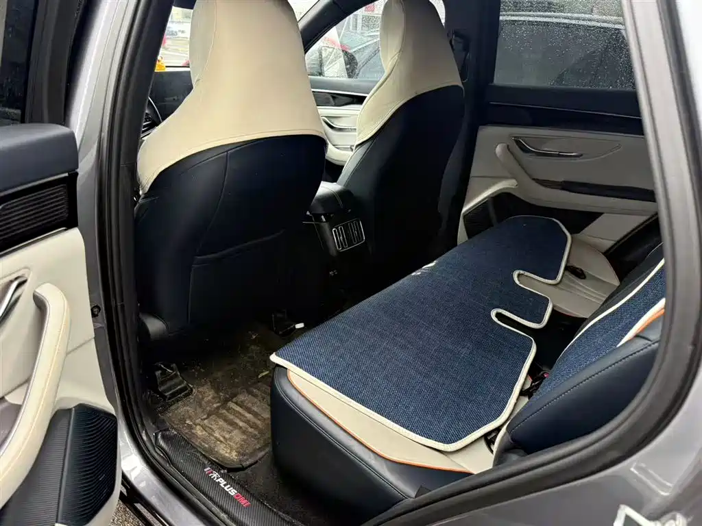 BYD SONGJIANG NEW ENERGY