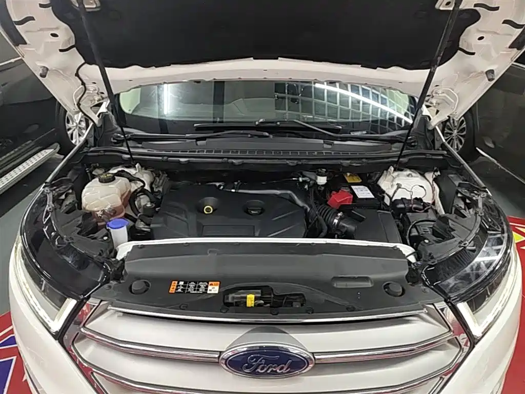 Ford Edge 2015 2015 2.0T GTDi 4WD Luxury
