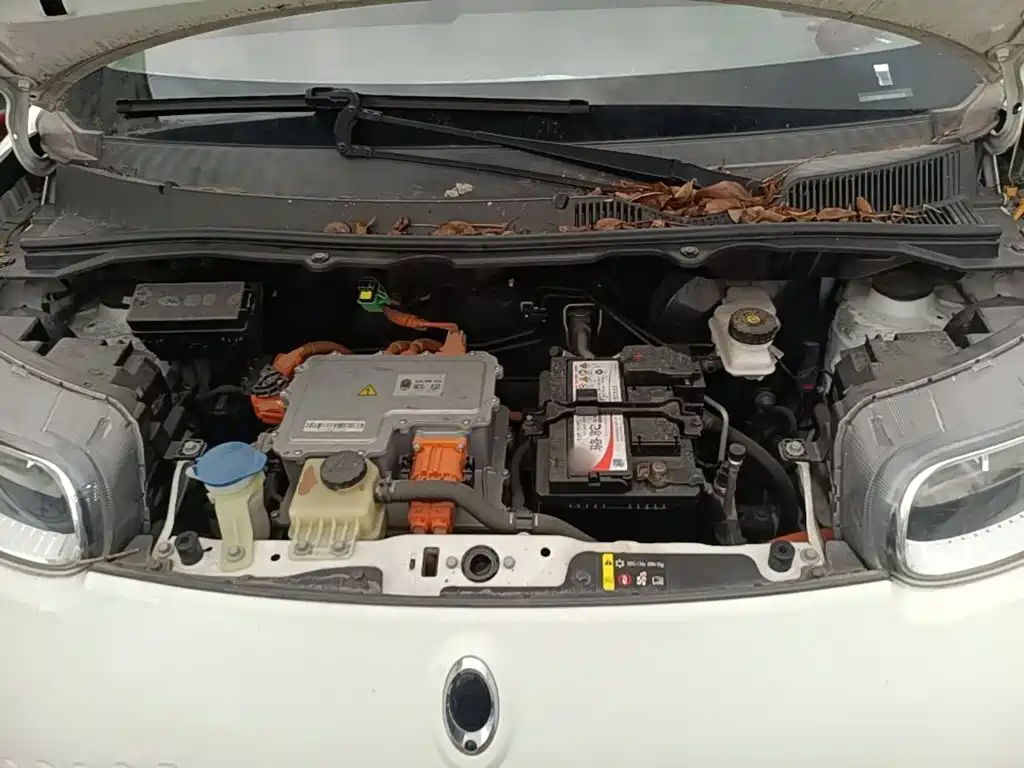 Ora White Cat 2021 2020 360km Standard Model