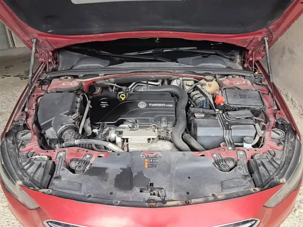 Buick Regal 2017 20T Elite Type фото 20