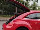 Photo 6 - Volkswagen Beetle