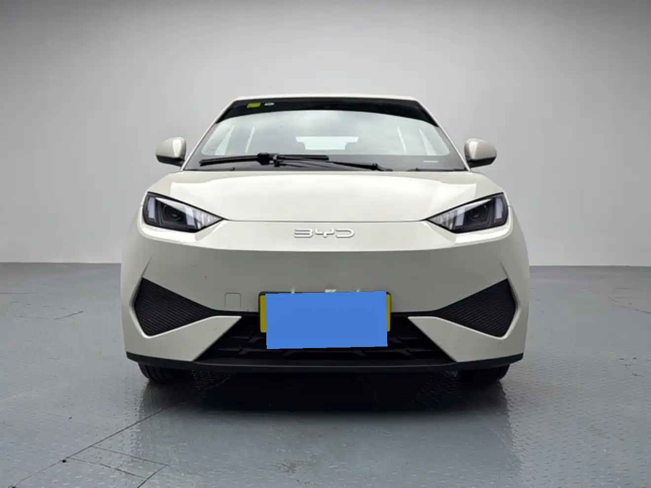 BYD Seagull 2026 2025 305km Vitality