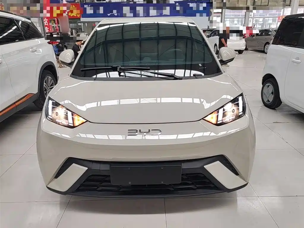 BYD Seagull 2025 305km Vitality фото 3